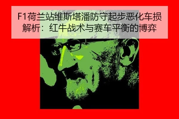 he-lan-zhan-wei-si-ta-pan-fang-shou-qi-bu-e-hua-che-sun-jie-xi-hong-niu-zhan-shu-yu-sai-che-ping-heng-de-bo-yi-2-695.jpg